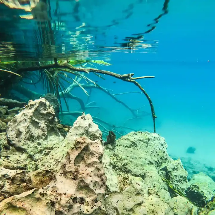 Underwater rocks and sunken branches in Labuan Cermin