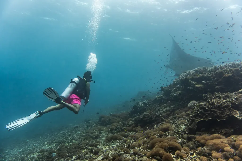Derawan Island Diving Guide for Advanced Divers