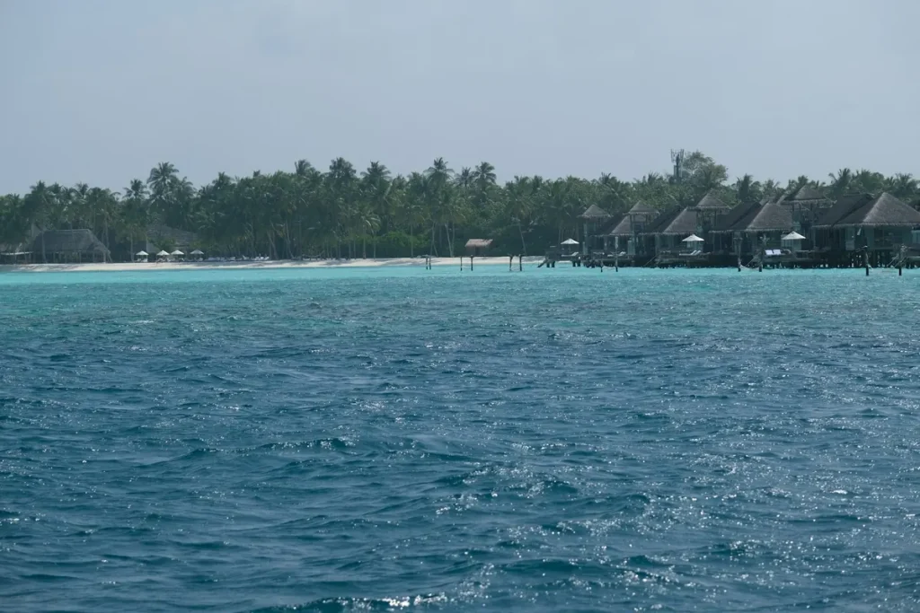 4-Day Derawan Archipelago Itinerary for Couples