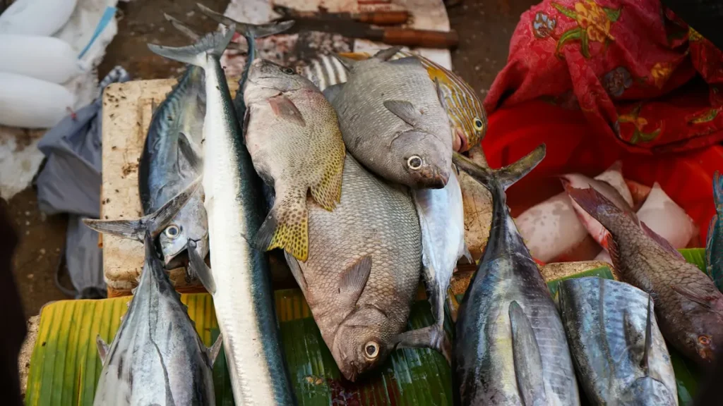 A Culinary Journey: Discovering Derawan Island’s Food Scene